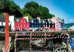 Tobermory Harbour - Postkarte