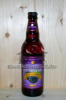 Autumn Magic - Apfel Cider mit Brombeeren (Fruchtwein) mit 4,0% von Gwynt y Ddraig aus Wales
